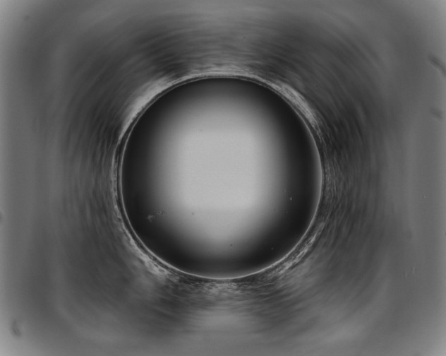 X0000097631006200802291336