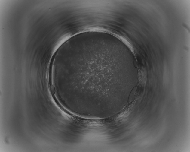 X0000097631007200802291336