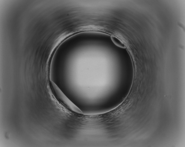 X0000097631008200802291336