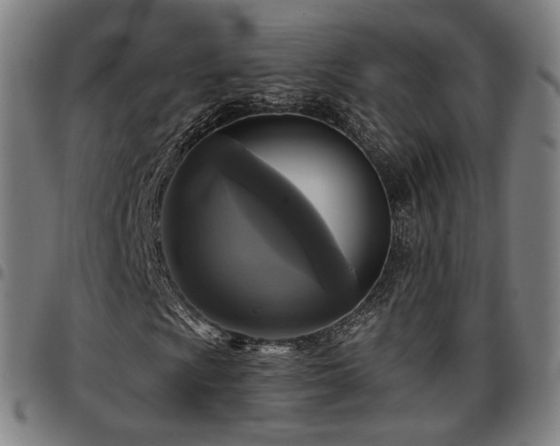 X0000097631009200802291335