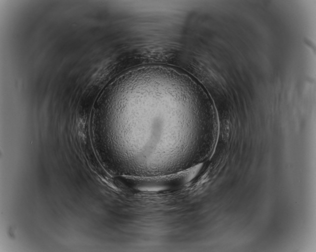 X0000097631010200802291335