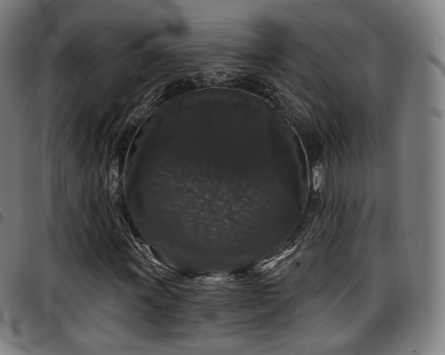 X0000097631011200802291335
