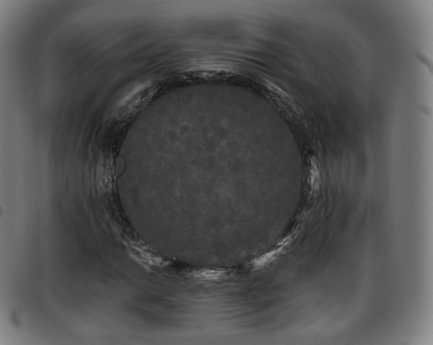 X0000097631014200802291335