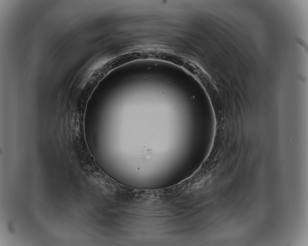 X0000097631016200802291335