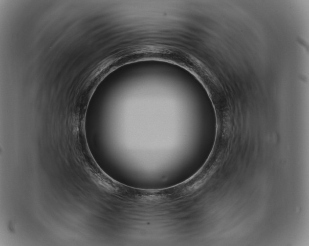 X0000097631017200802291335