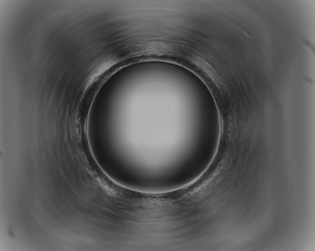 X0000097631018200802291335