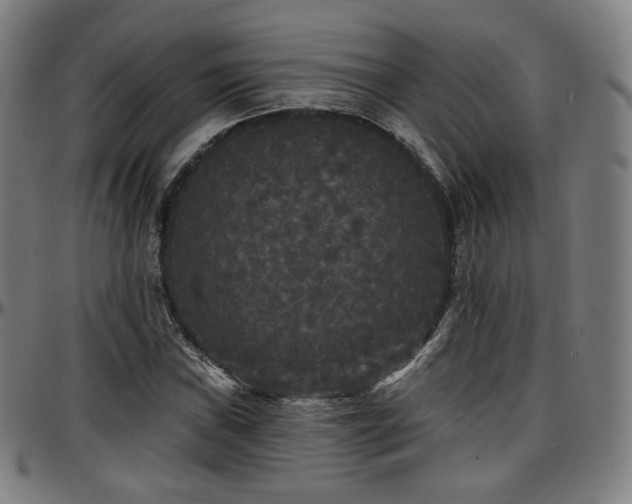 X0000097631019200802291335