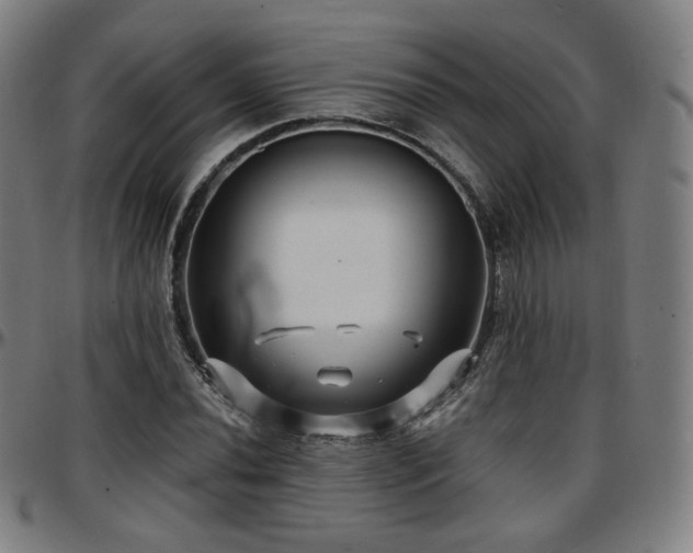 X0000097631020200802291335