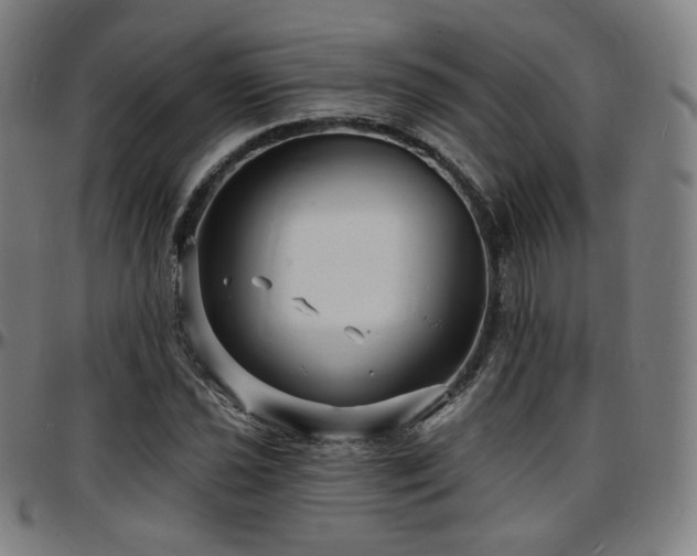 X0000097631021200802291335