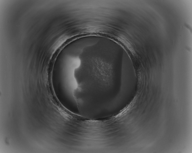 X0000097631023200802291335