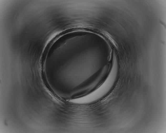 X0000097631024200802291335