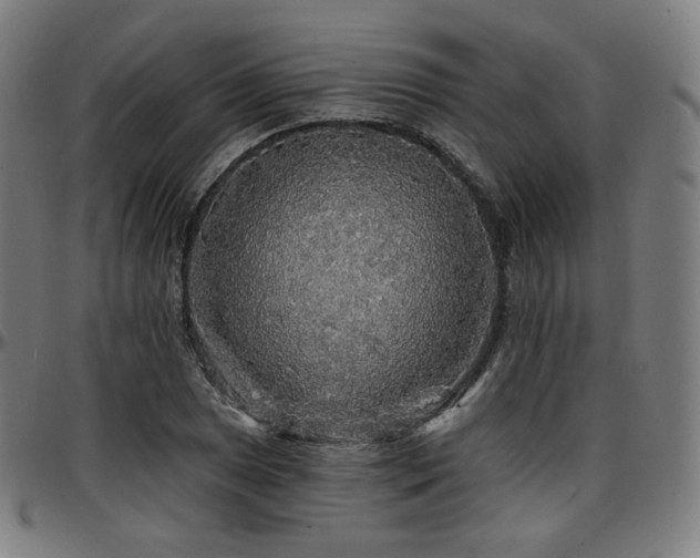 X0000097631025200802291335