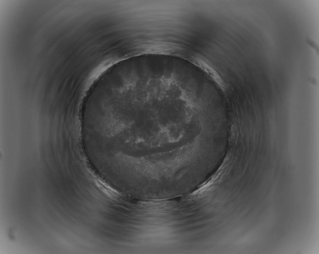 X0000097631027200802291335