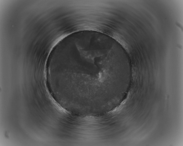 X0000097631028200802291335