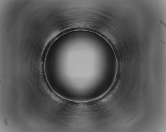 X0000097631029200802291335