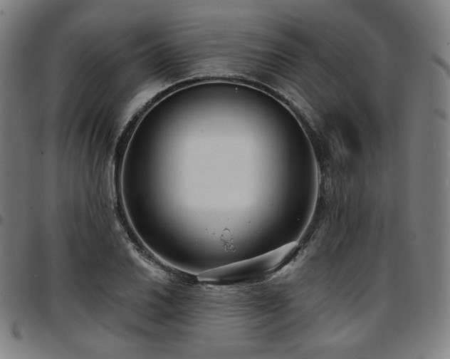 X0000097631030200802291335