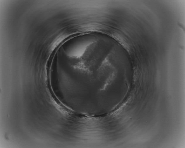 X0000097631031200802291335
