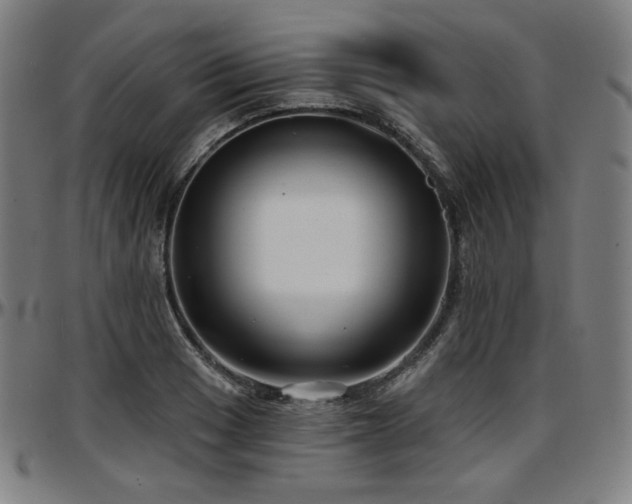 X0000097631033200802291335