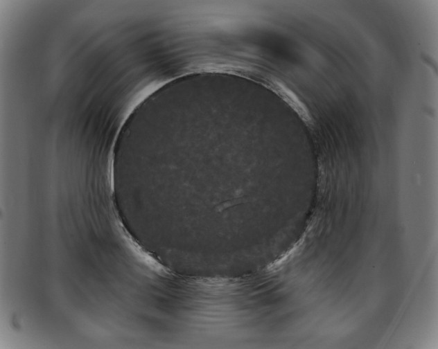 X0000097631036200802291335