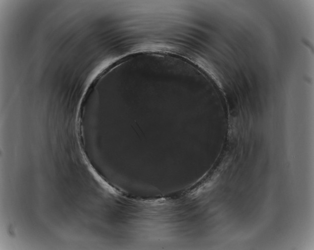 X0000097631037200802291335