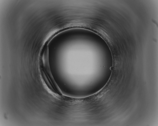 X0000097631038200802291335