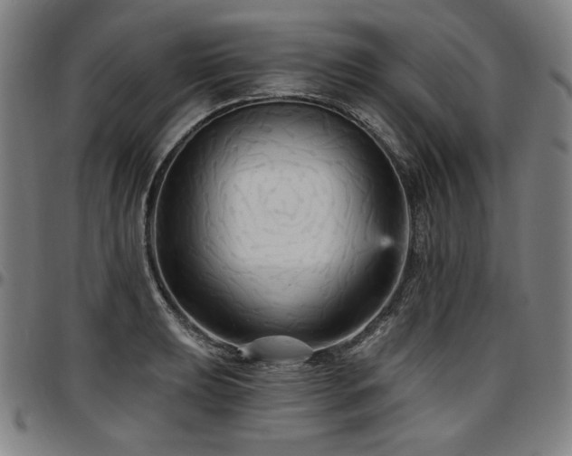 X0000097631039200802291335