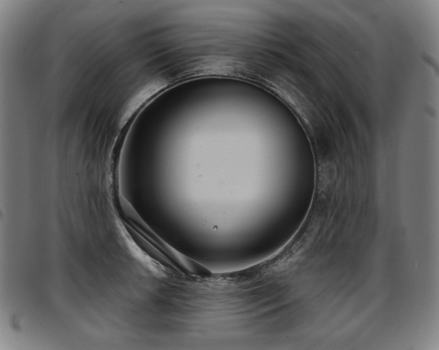 X0000097631042200802291335
