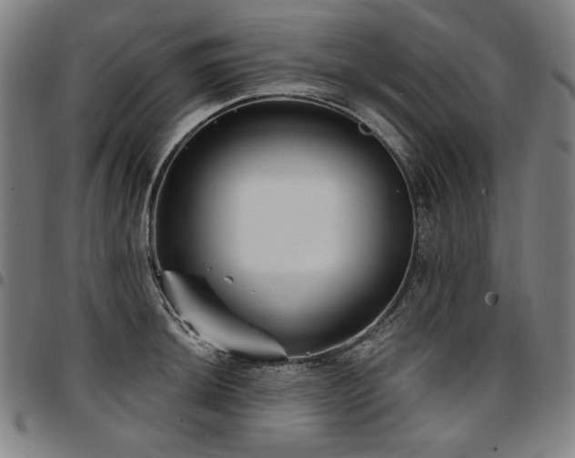 X0000097631044200802291336