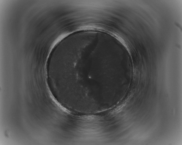 X0000097631045200802291336