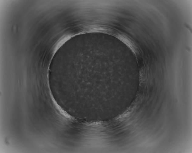 X0000097631047200802291336