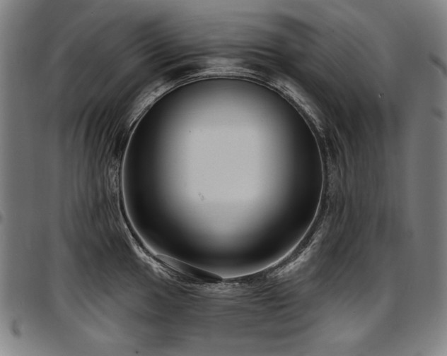 X0000097631049200802291336