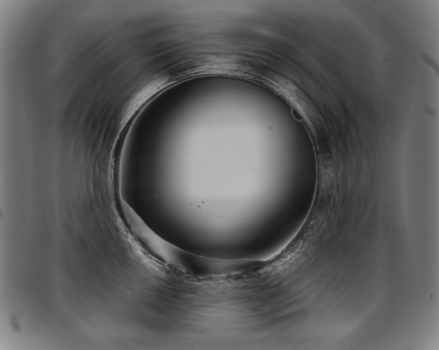 X0000097631050200802291336