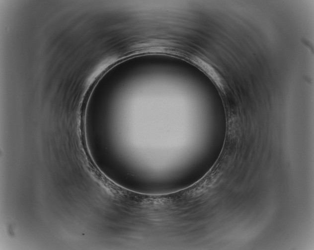 X0000097631051200802291336