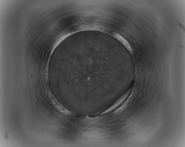 X0000097631052200802291336