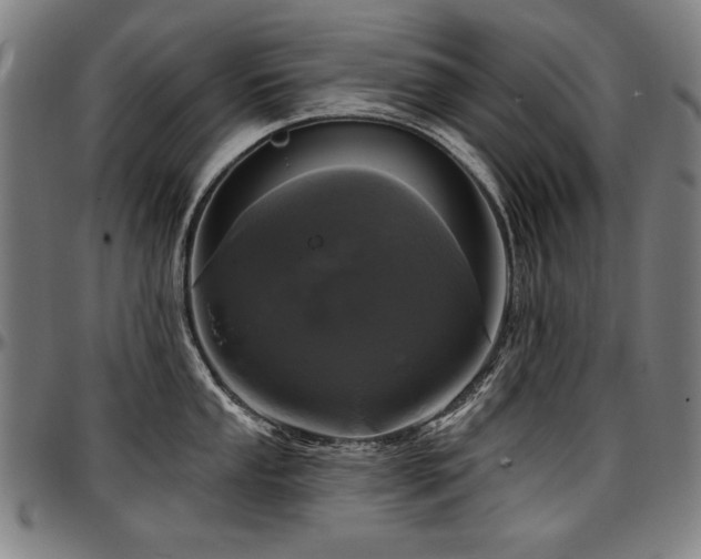 X0000097631053200802291336
