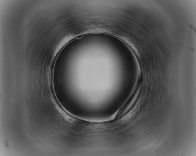 X0000097631054200802291336