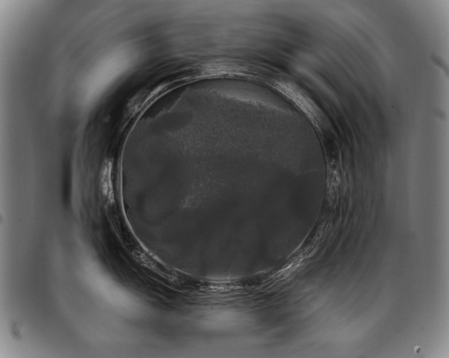 X0000097631055200802291336