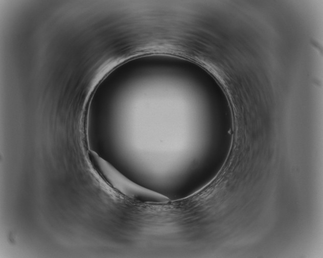 X0000097631056200802291336