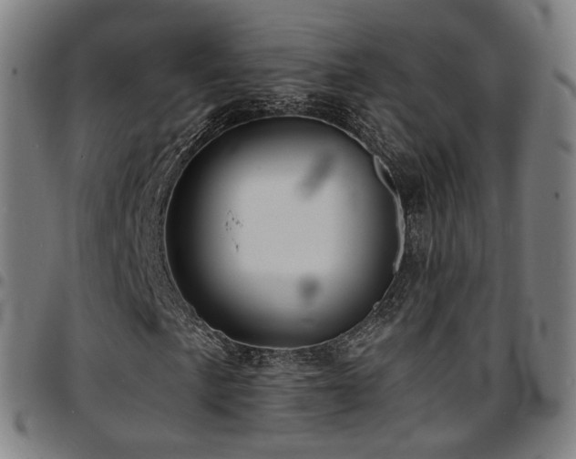 X0000097631057200802291335