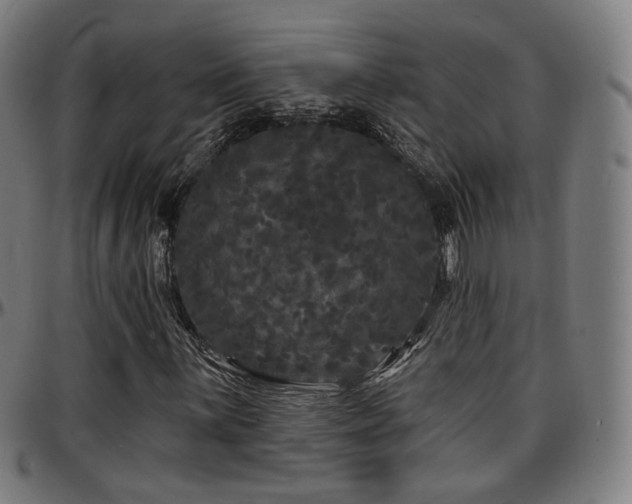 X0000097631059200802291335