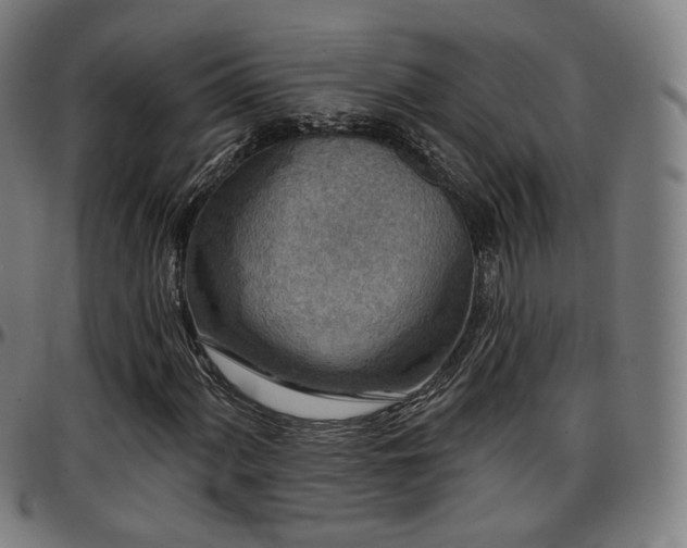 X0000097631060200802291335