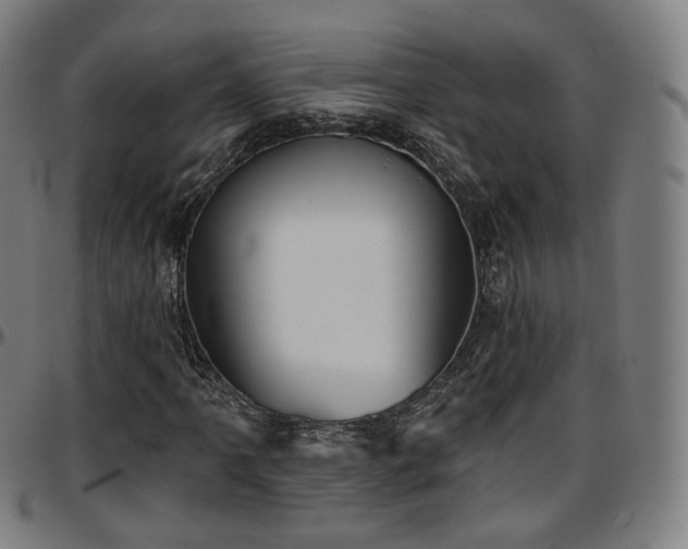 X0000097631061200802291335