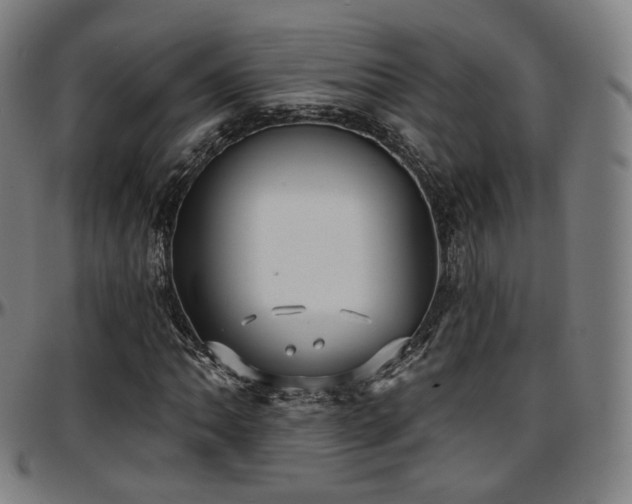 X0000097631062200802291335