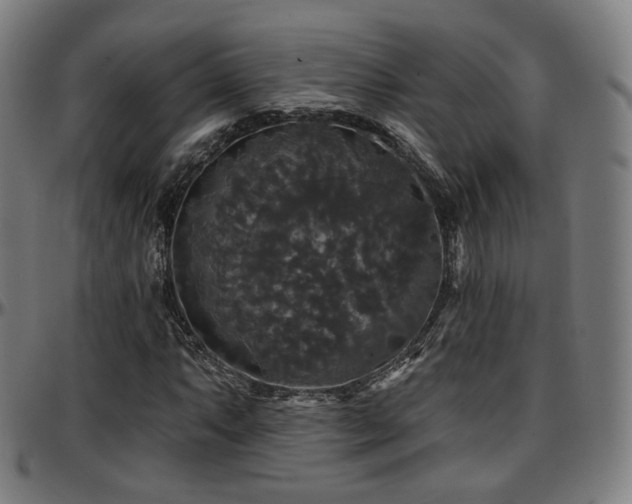 X0000097631063200802291335