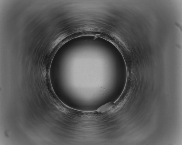 X0000097631065200802291335