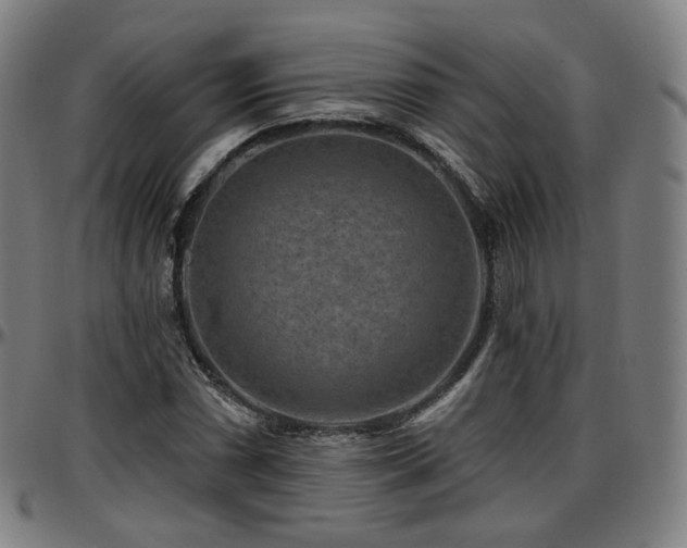 X0000097631066200802291335