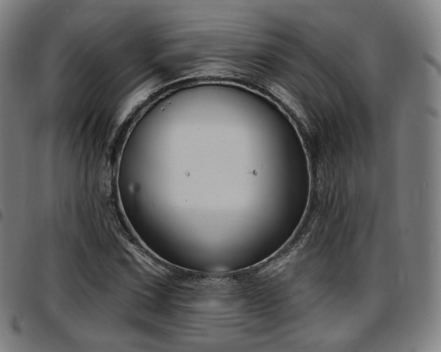X0000097631067200802291335