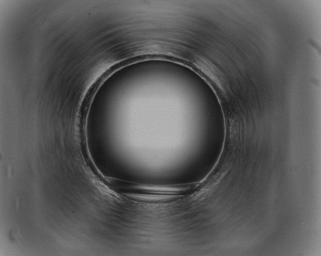 X0000097631068200802291335