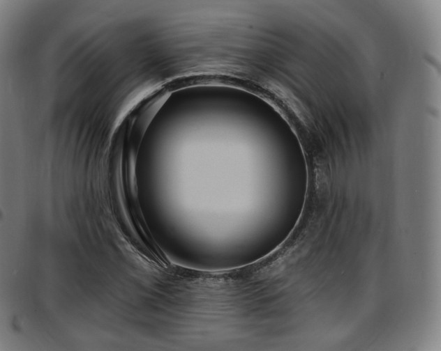 X0000097631069200802291334