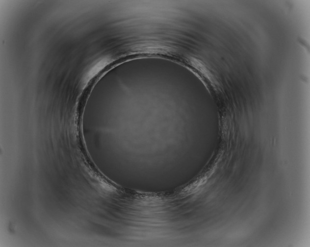 X0000097631071200802291334